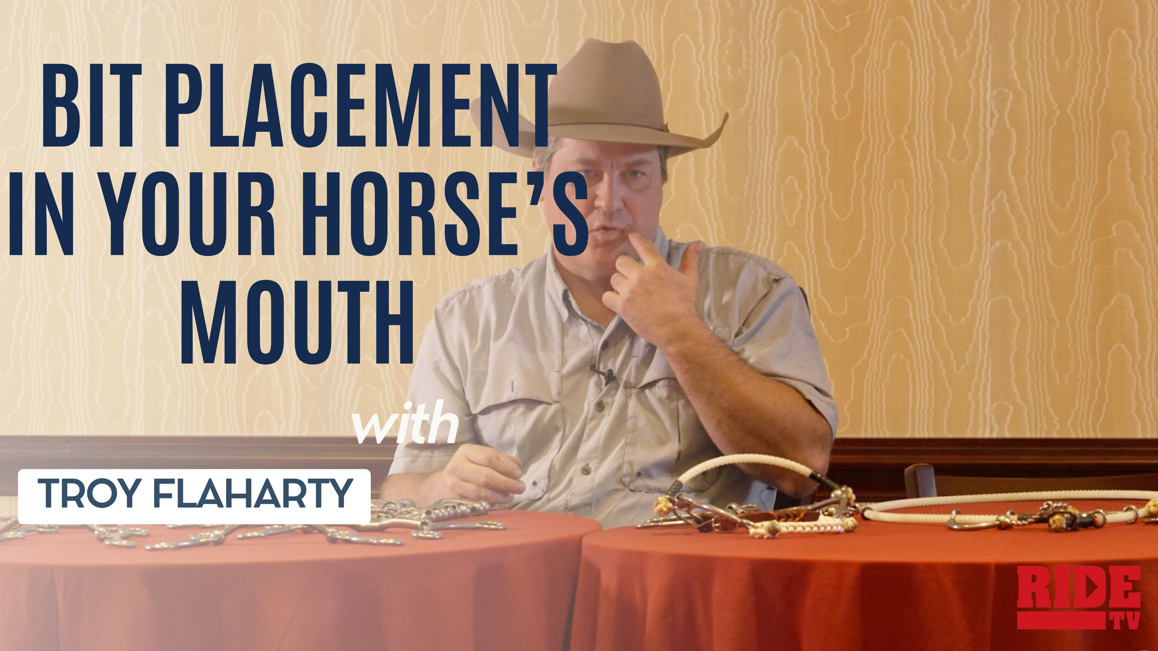 Bit Placement in Your Horse’s Mouth