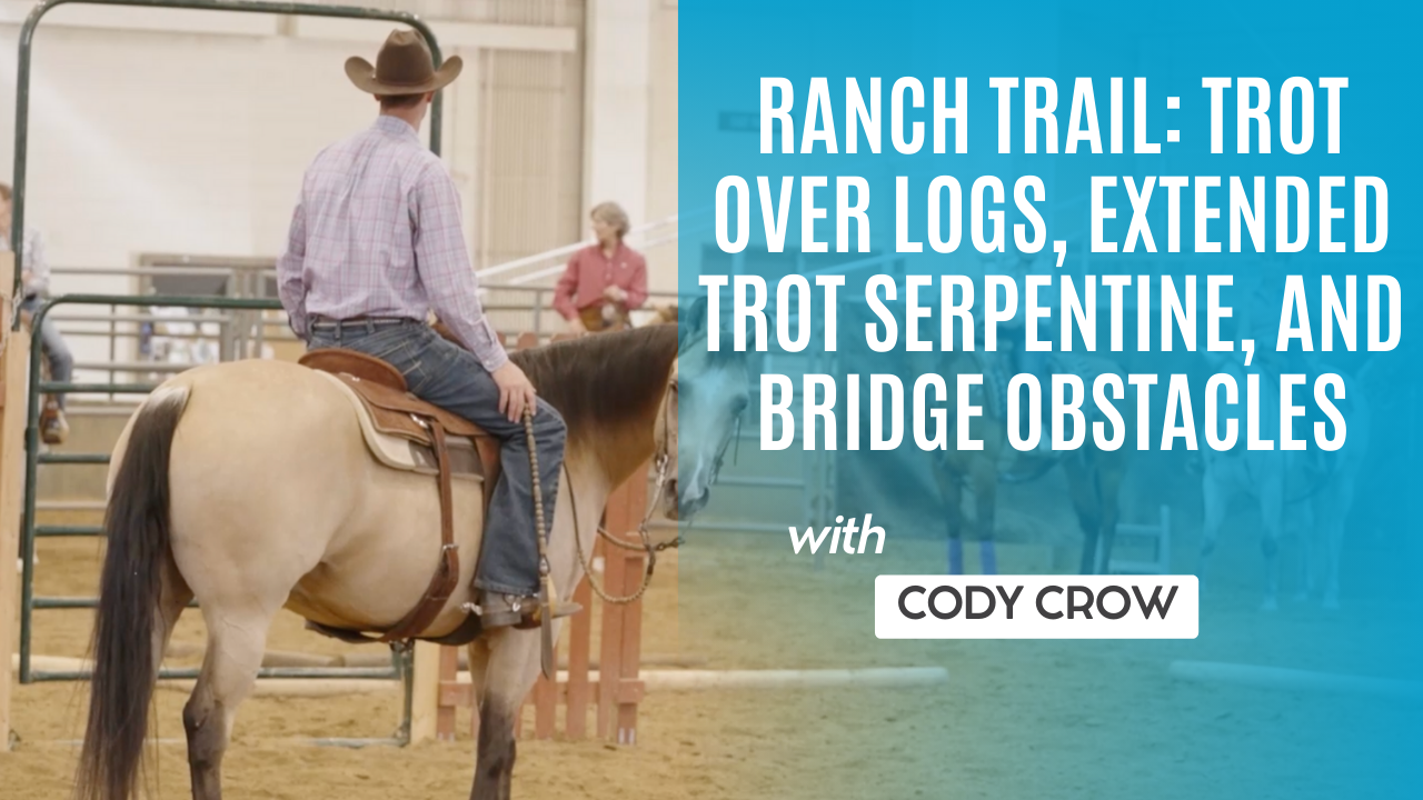Ranch Trail: Trot Over Logs, Extended Trot Serpentine, and Bridge Obstacles