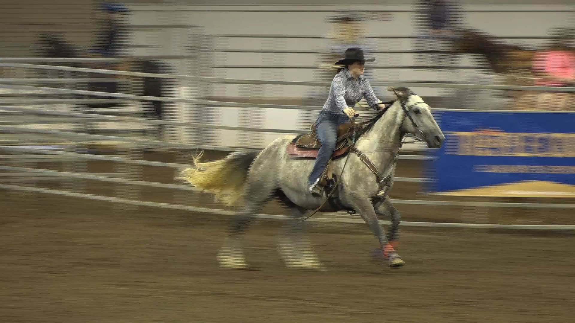 2019 NBHA GA Op1 #231-235