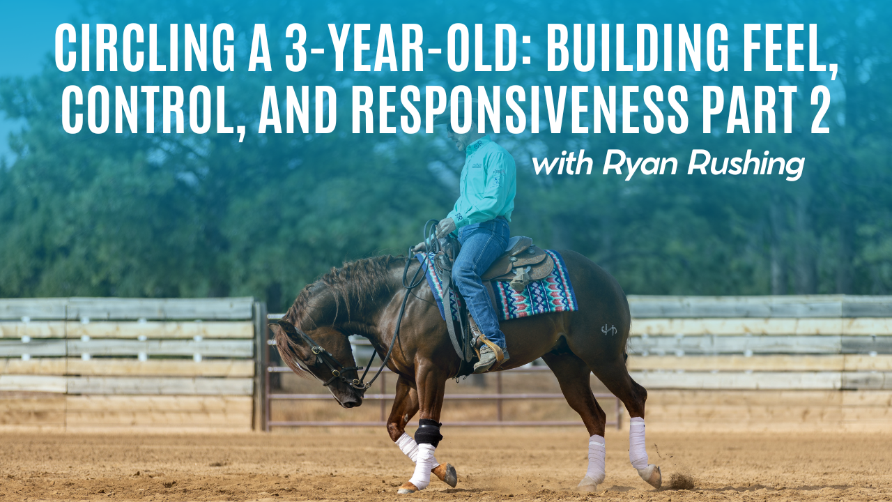 Circling a 3-Year-Old: Building Feel, Control, and Responsiveness Part 2