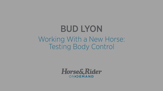 Working With a New Horse:Testing Body...