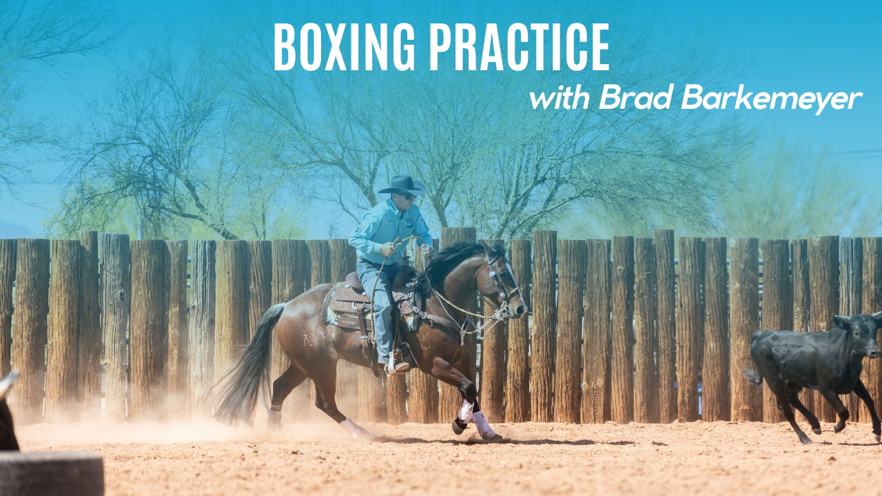 Boxing Practice with Brad Barkemeyer