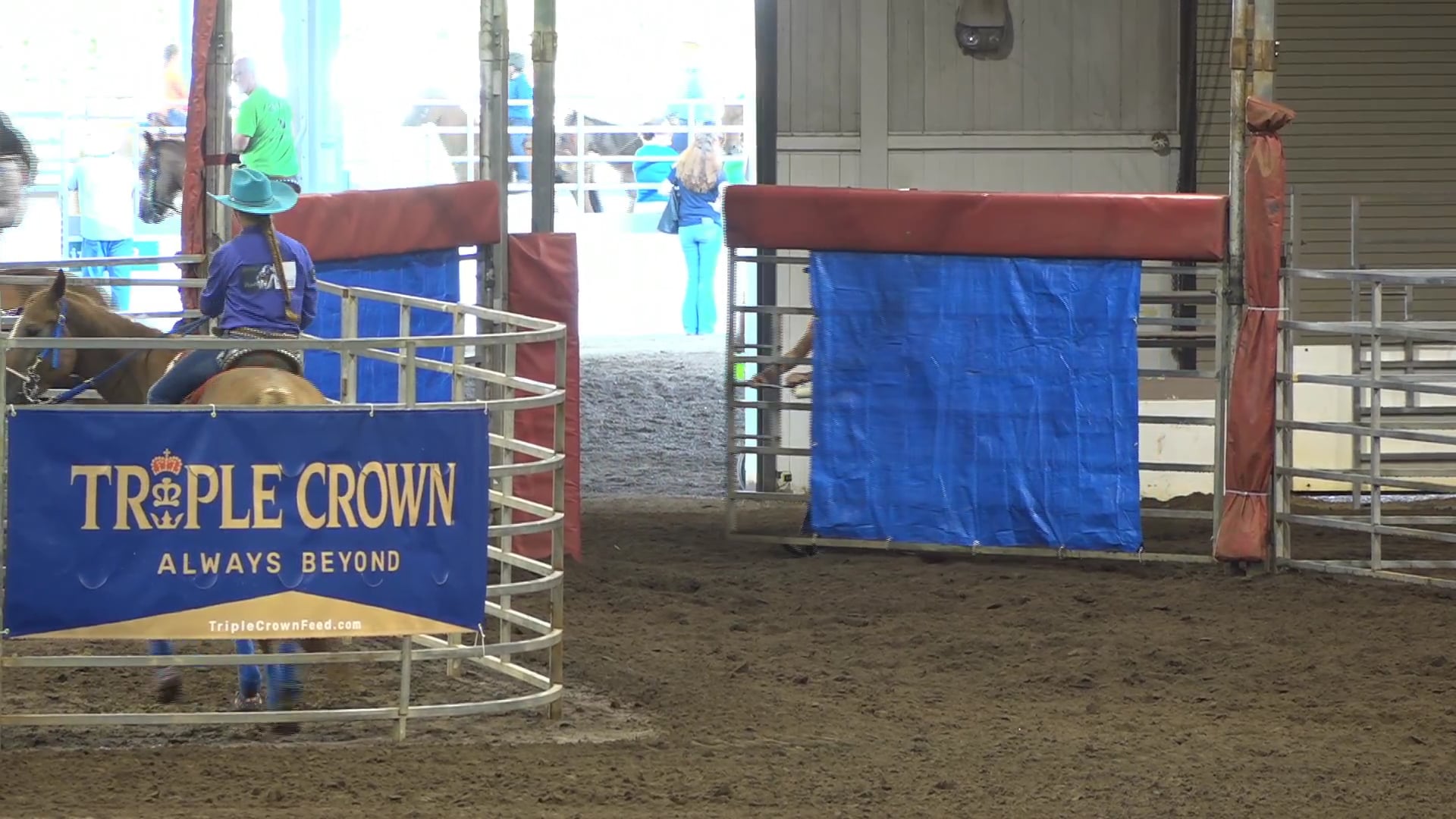 2019 NBHA GA Y1 #136-140