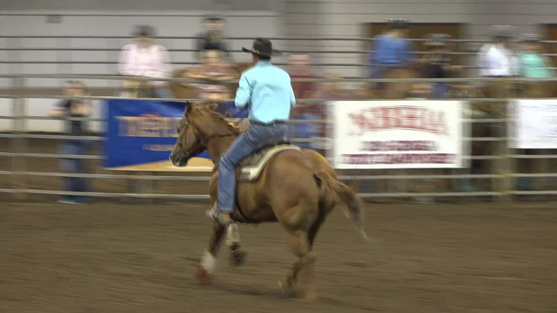 2019 NBHA GA Op1 #266-270