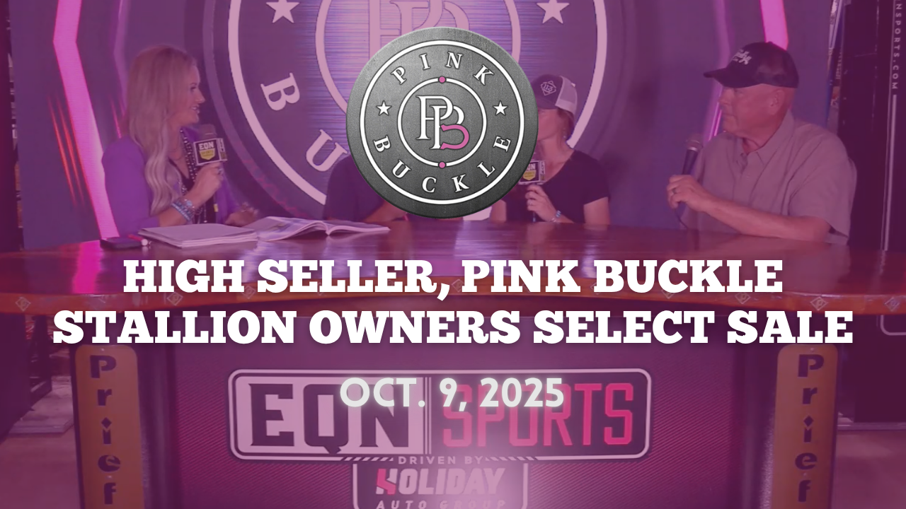 High Seller | Pink Buckle Stallion Owners Select Sale | Oct.9, 2025