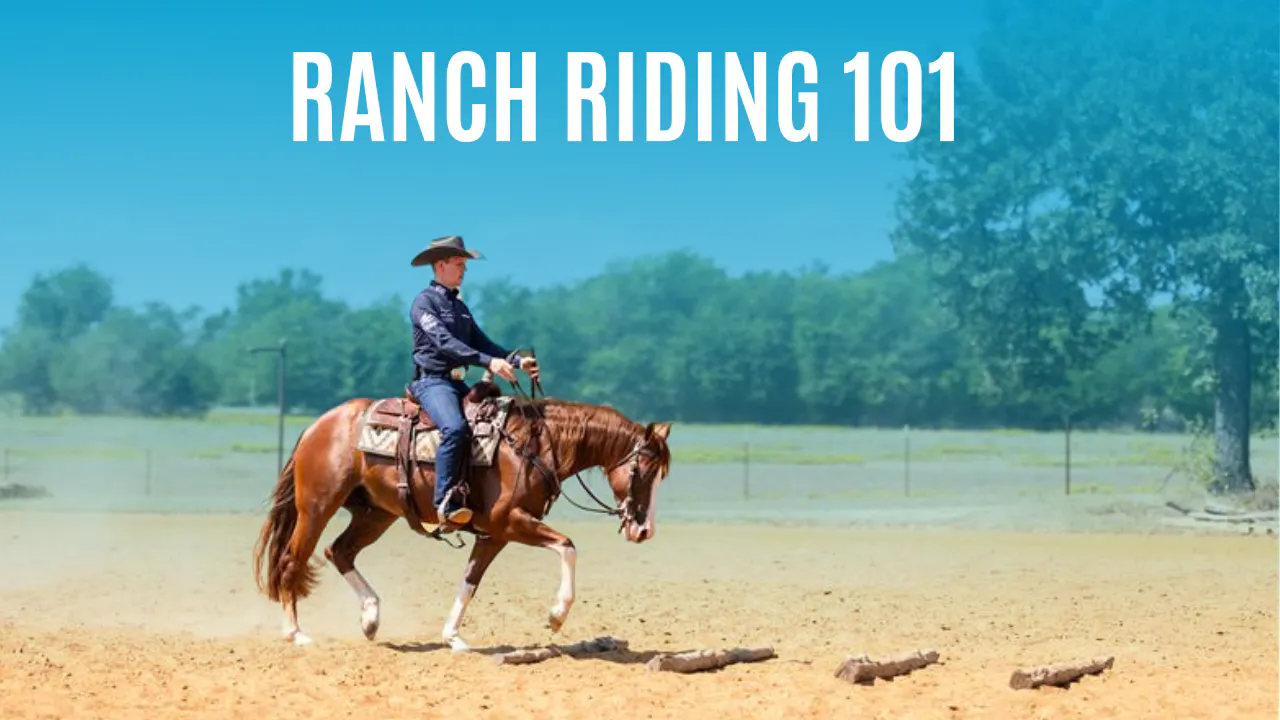 Ranch Riding 101 - Bud Lyon's Ranch Riding 101 Masterclass - RIDE TV