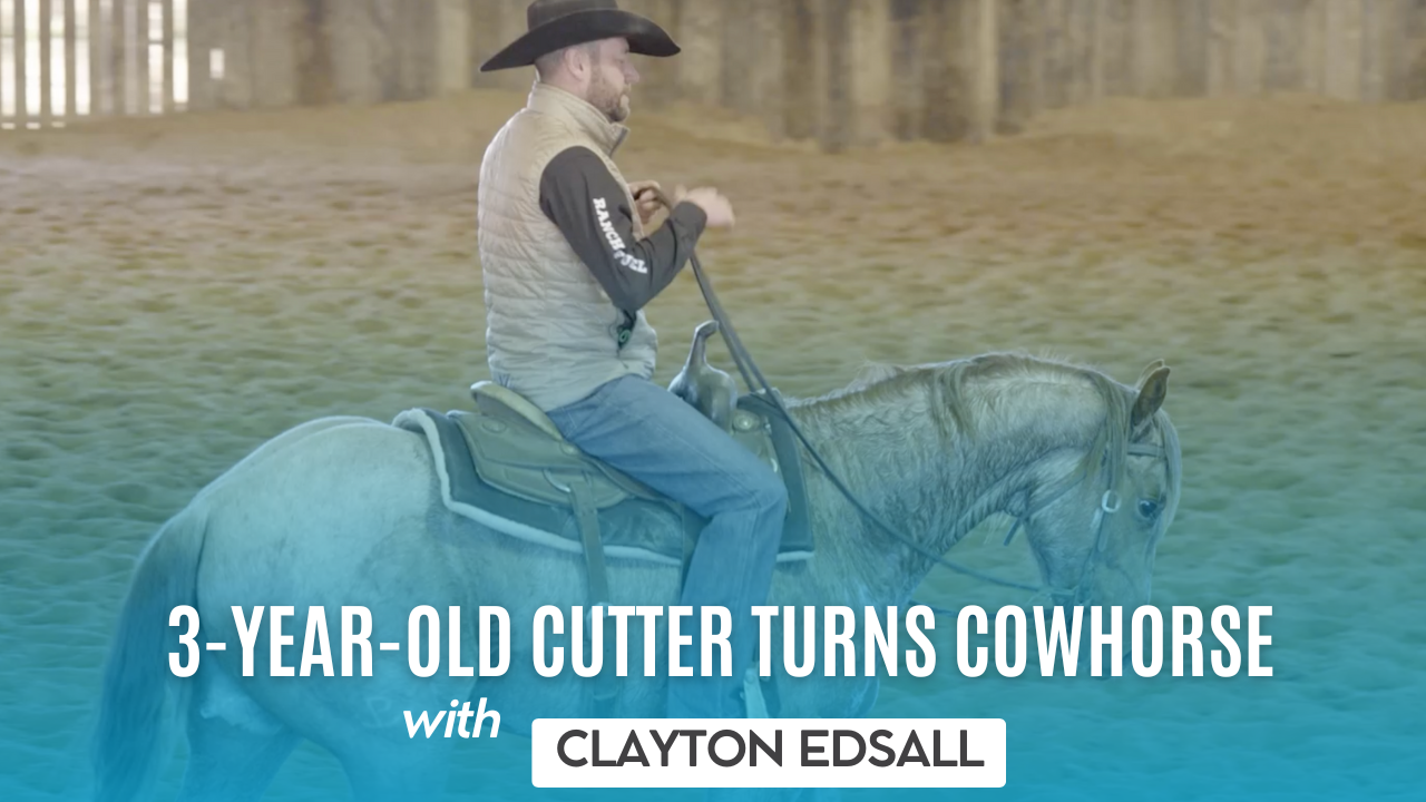 3-Year-Old Cutter Turns Cowhorse with Clayton Edsall