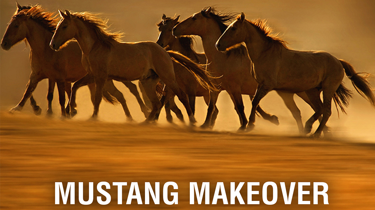 Mustang Makeover RIDE TV GO