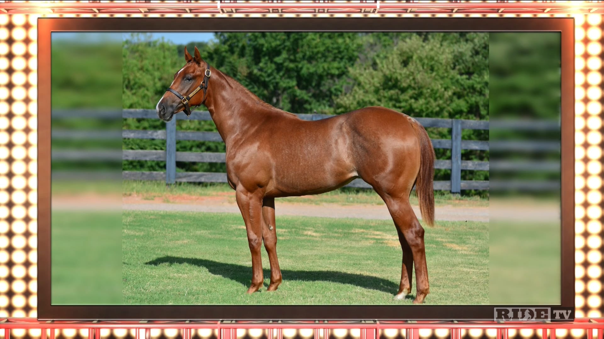 2019 Ruidoso Futurity - Live Broadcast