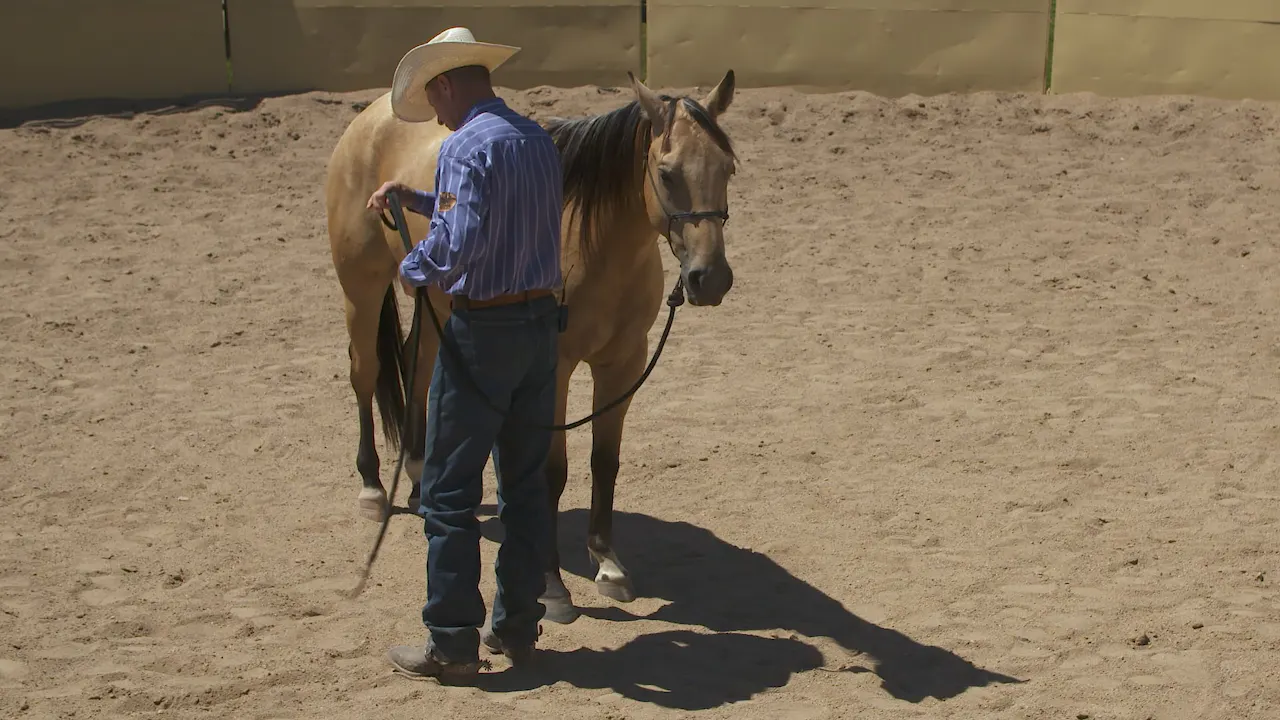 Handling Your Horse’s Feet - RIDE TV