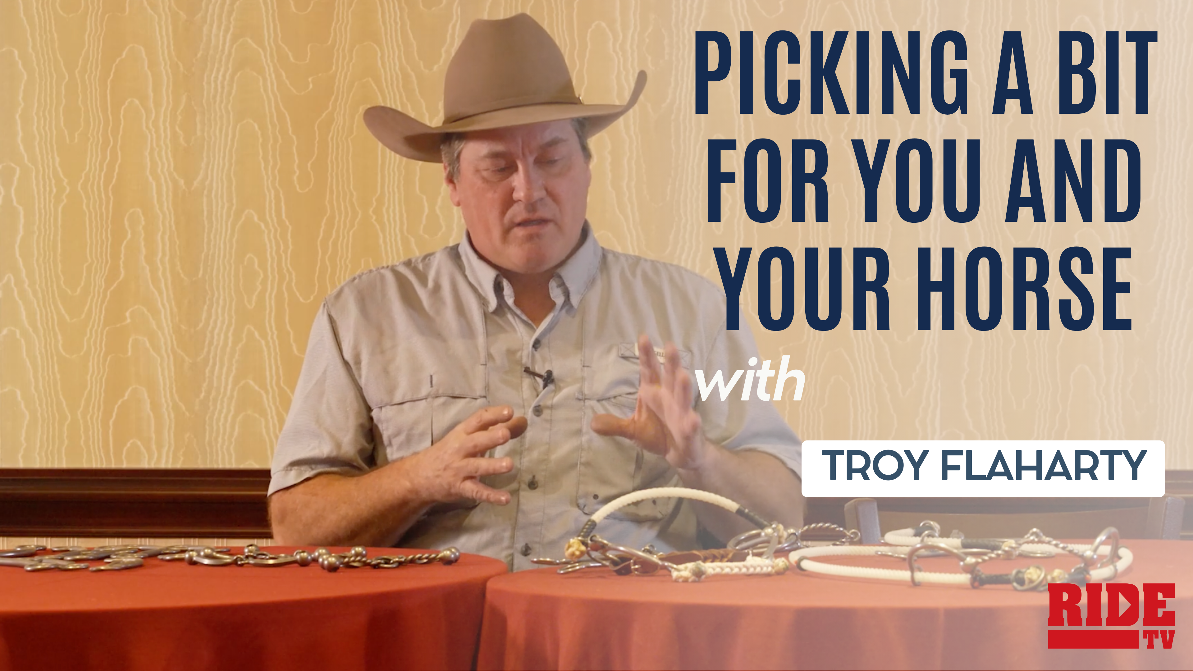 Picking a Bit for You and Your Horse