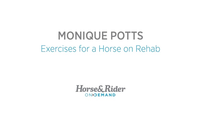 Exercises for a Horse on Rehab