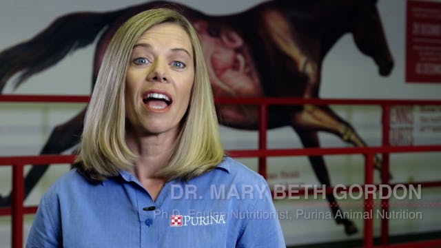 Purina Exercise Tips