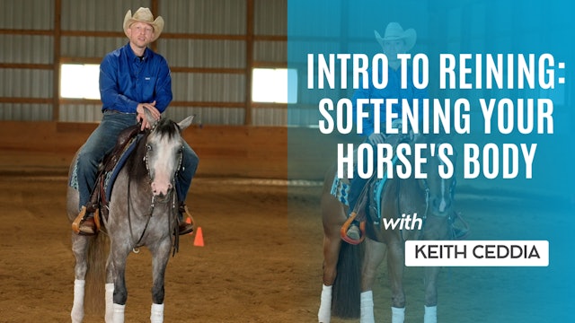 Intro to Reining: Softening Your Horse's Body