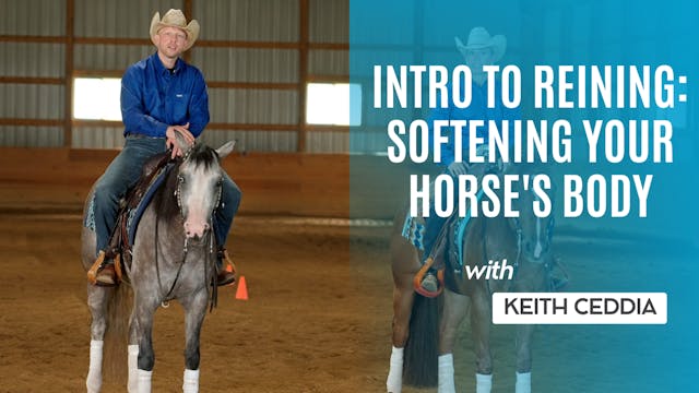 Intro to Reining: Softening Your Hors...