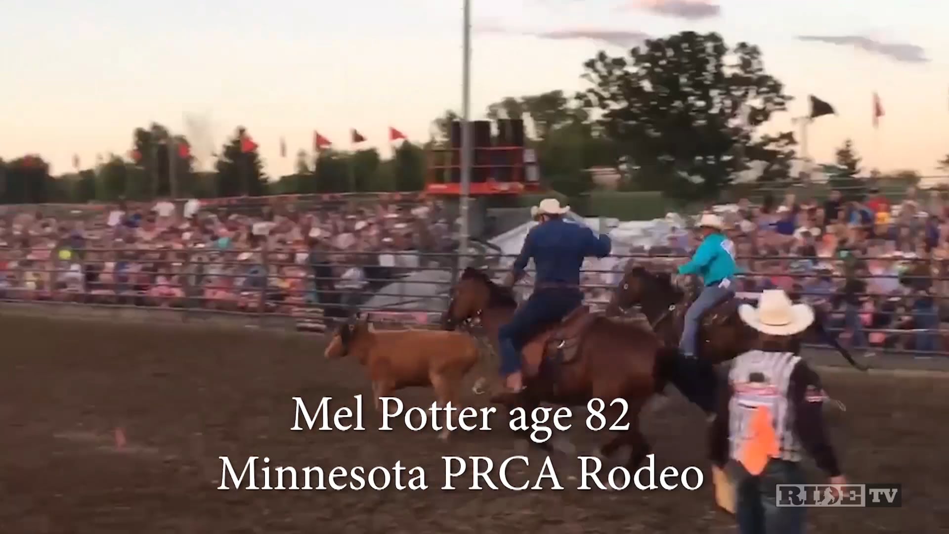 MP Meter My Hay | The Matriarch of a Lasting Legacy