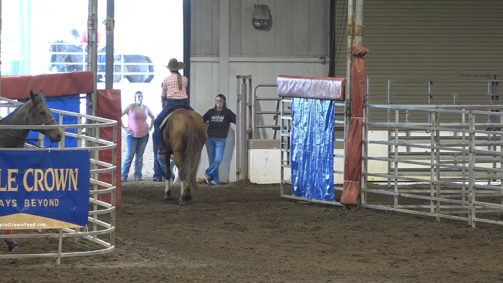 2019 NBHA GA Op1 #356-360