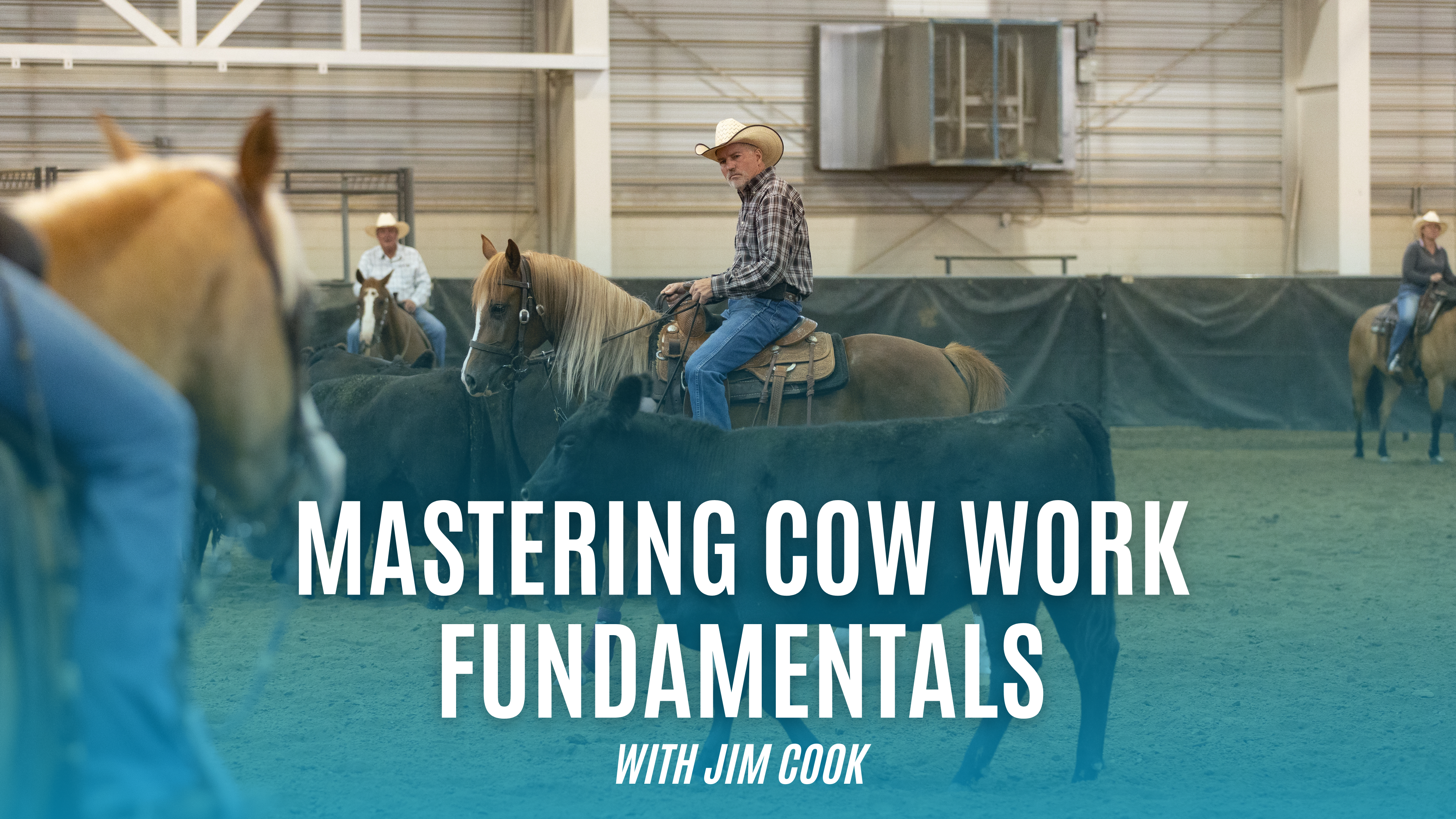 Mastering Cow Work Fundamentals with Jim Cook