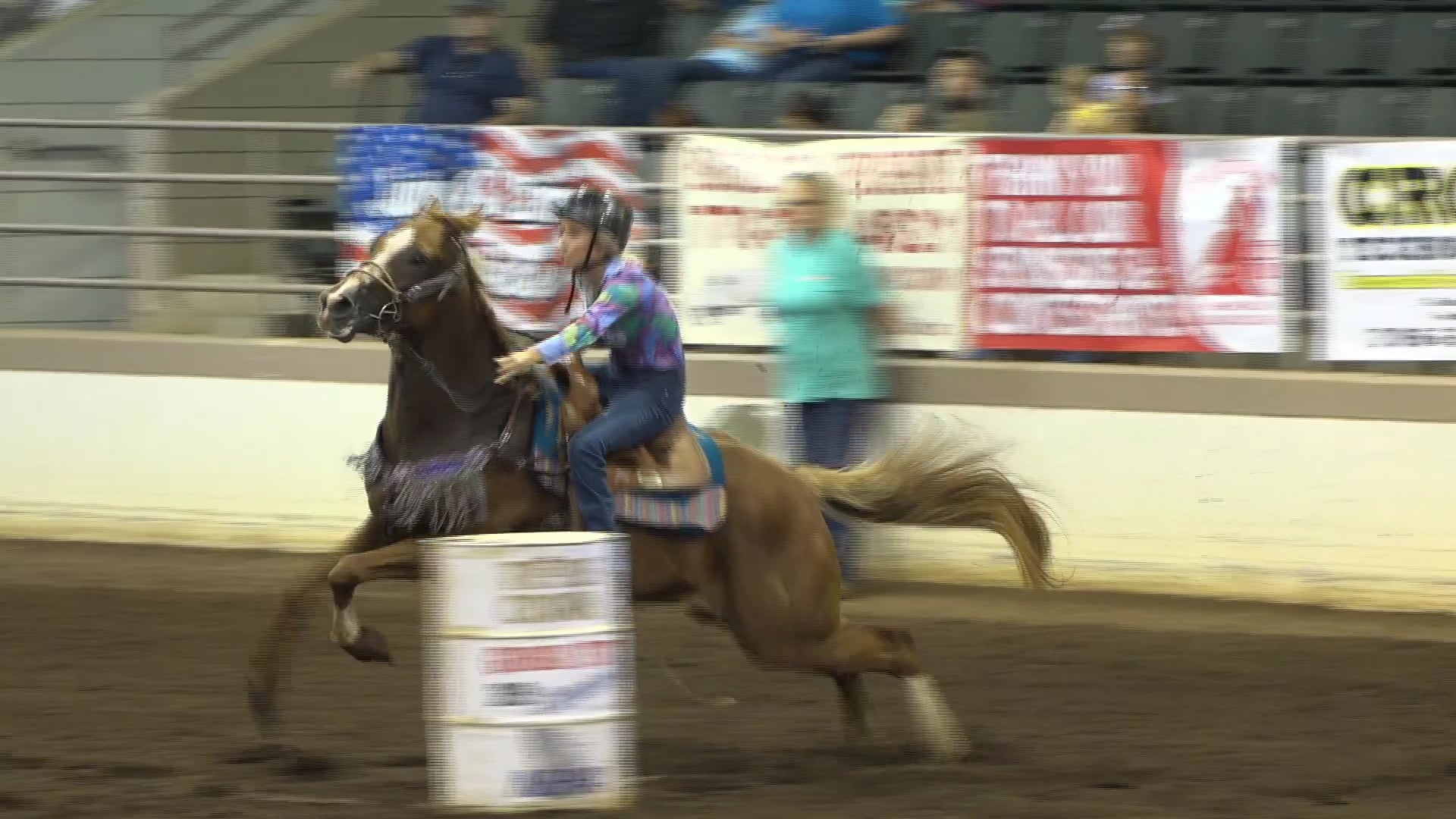 2019 NBHA GA OF #081-085