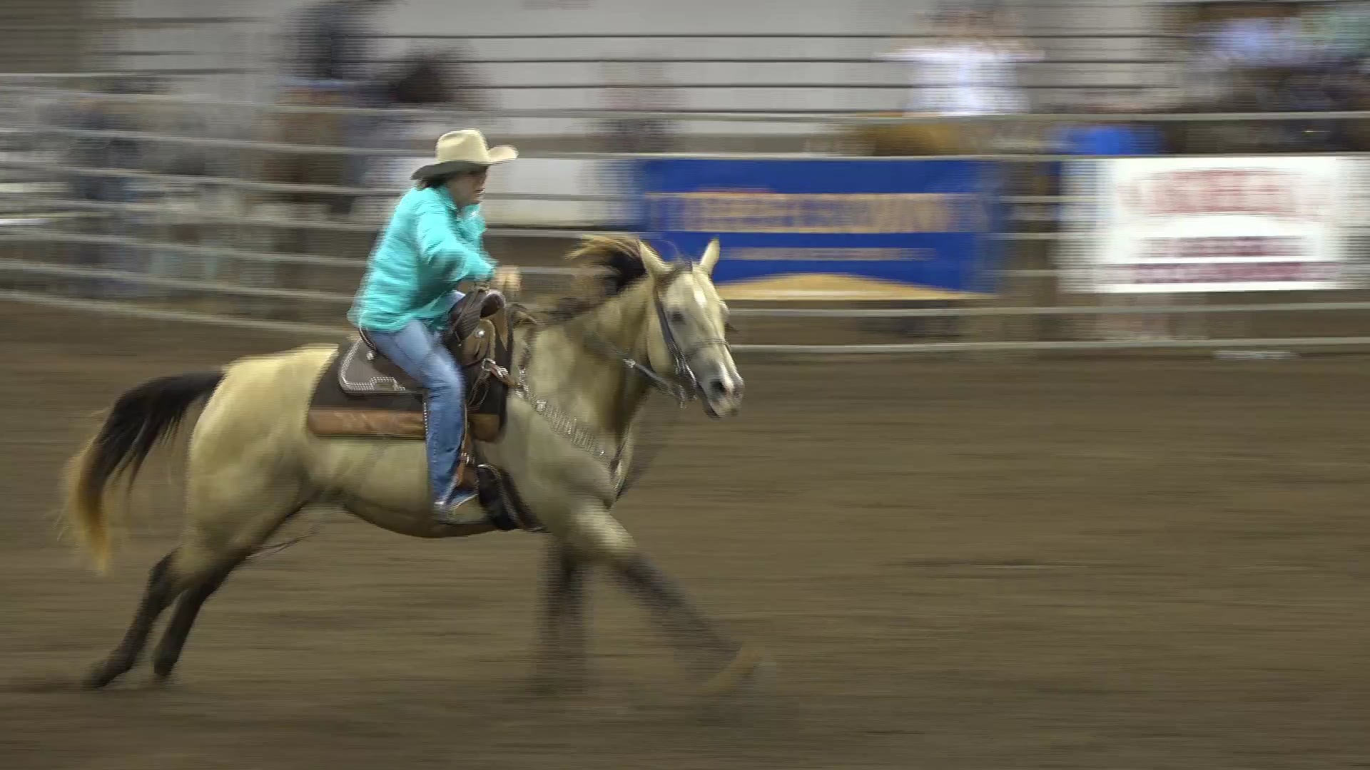 2019 NBHA GA Op2 #240-236