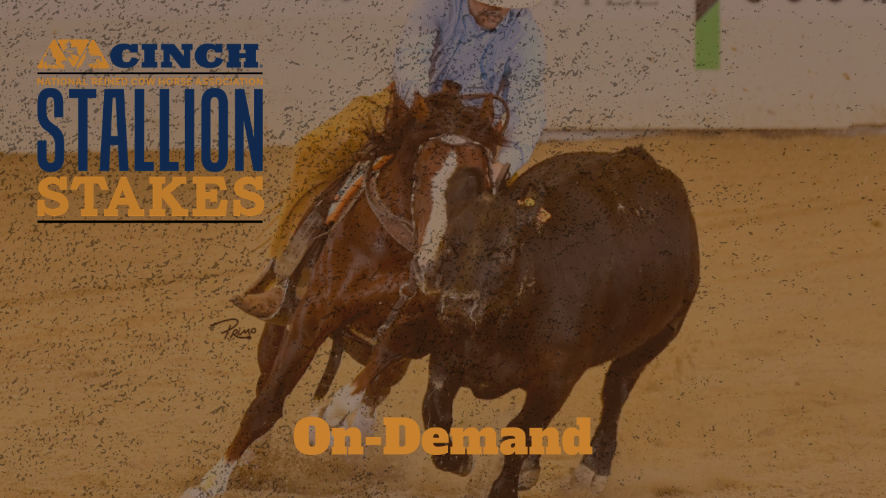 NRCHA Stallion Stakes