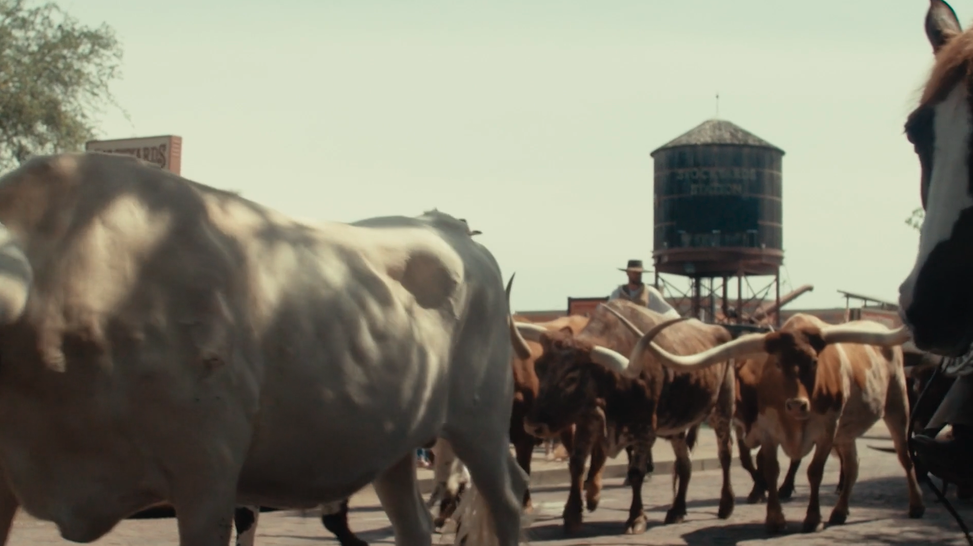 AC TV Icons, The Wall Street of the West