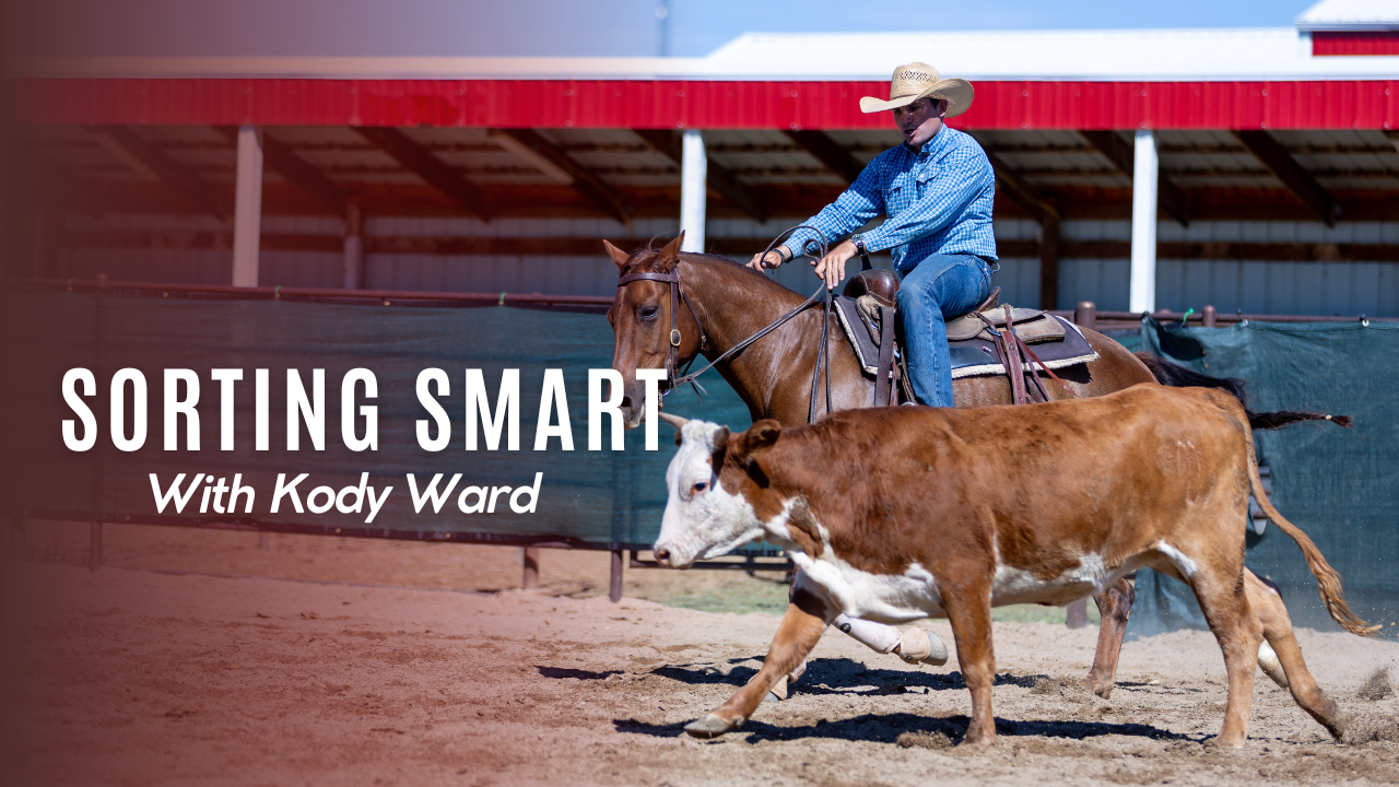 Sorting Smart with Kody Ward