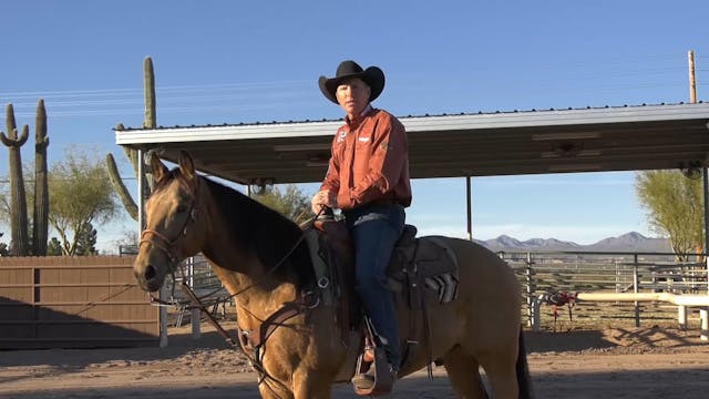 Roping Box Work