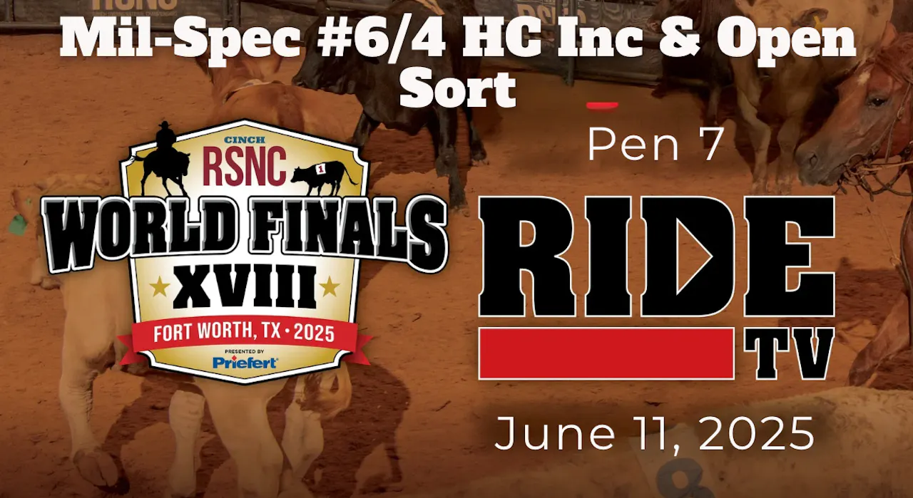 Mil-Spec #6/4 HC Inc & Open Sort | Cinch RSNC World Finals | Pen 7 | 6 ...