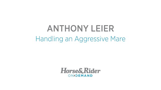 Handling an Agressive Mare