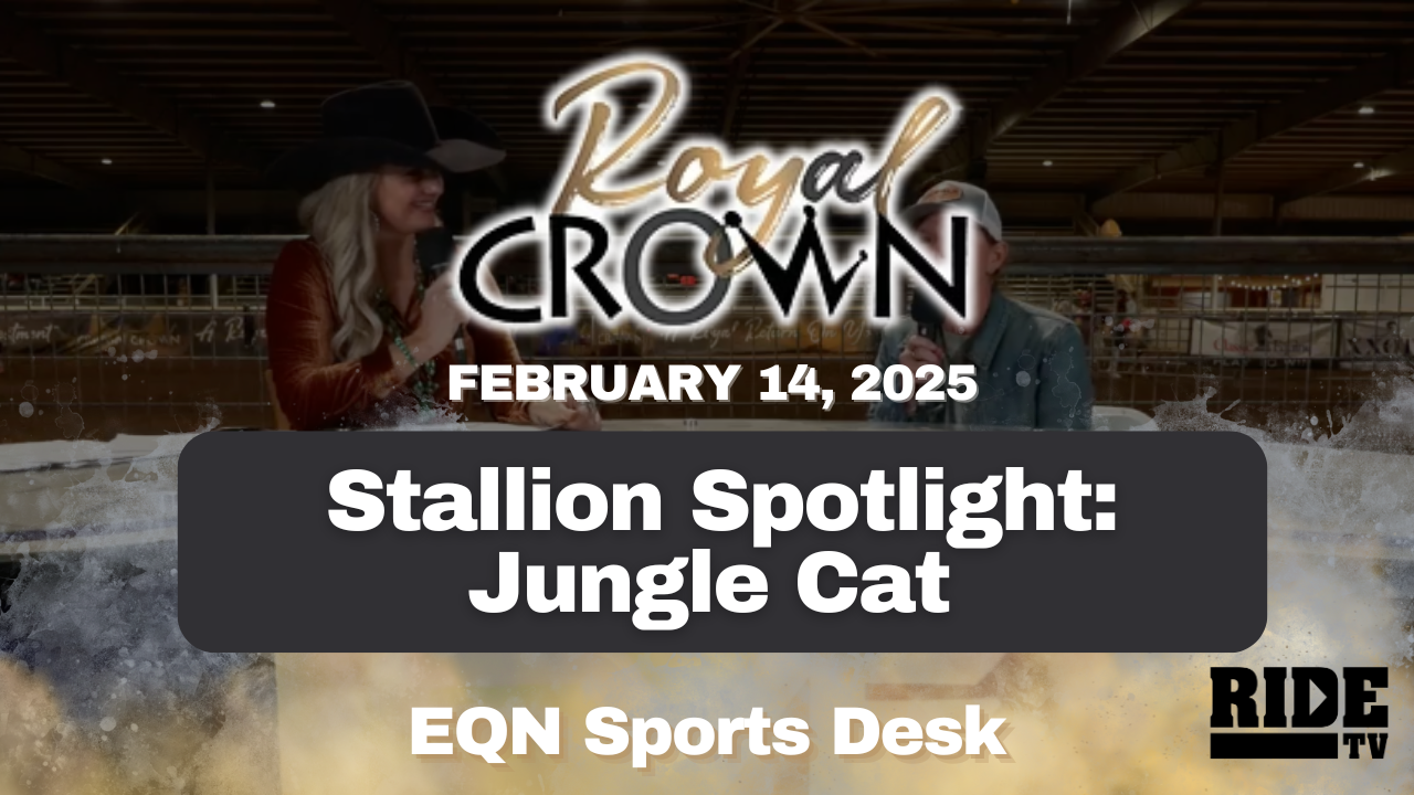 Stallion Spotlight: Jungle Cat | Royal Crown Futurity | 2/24/25