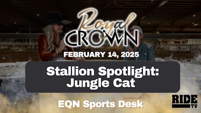 Stallion Spotlight: Jungle Cat | Roya...