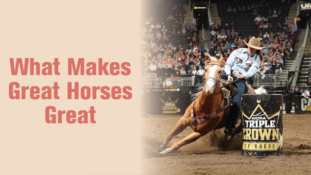 What Makes Great Horses Great