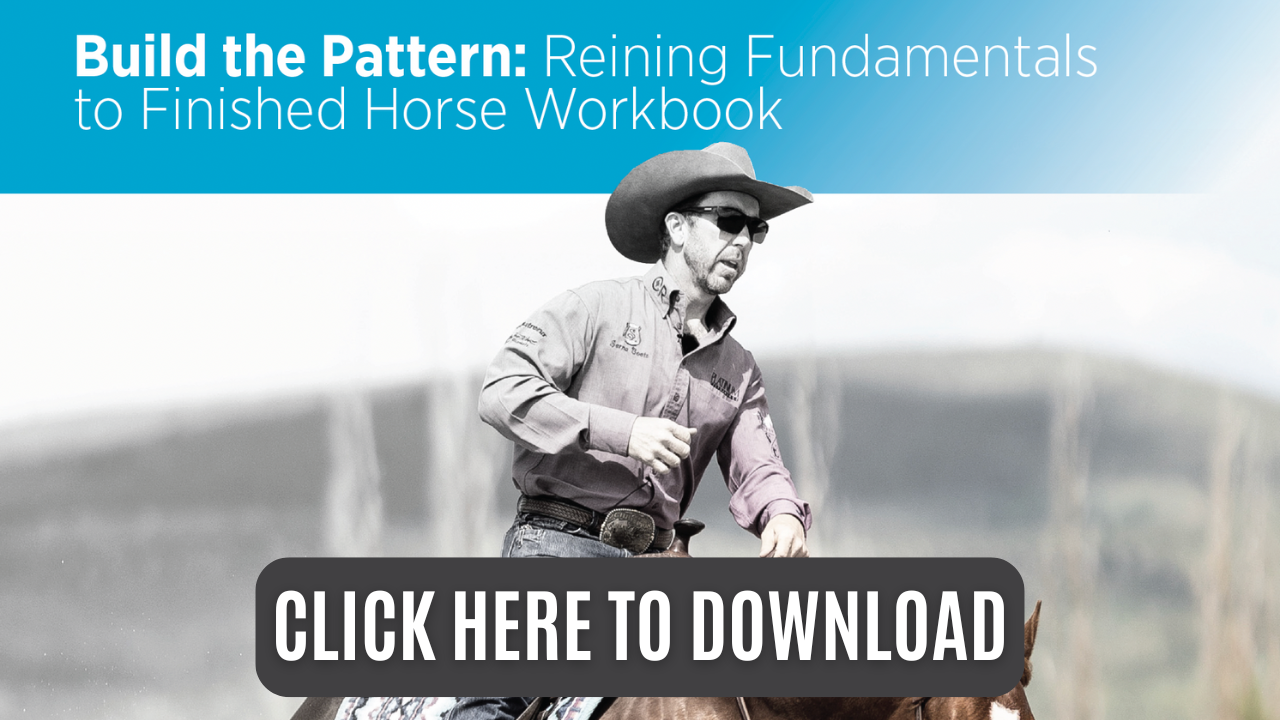 Build the Pattern: Reining Fundamentals to Finished Horse Workbook