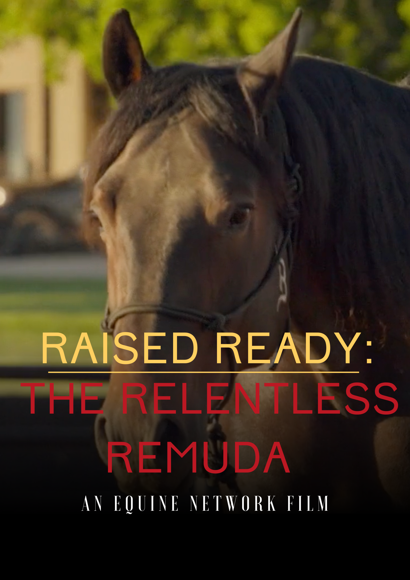 Raised Ready: The Relentless Remuda brought to you by Equinety