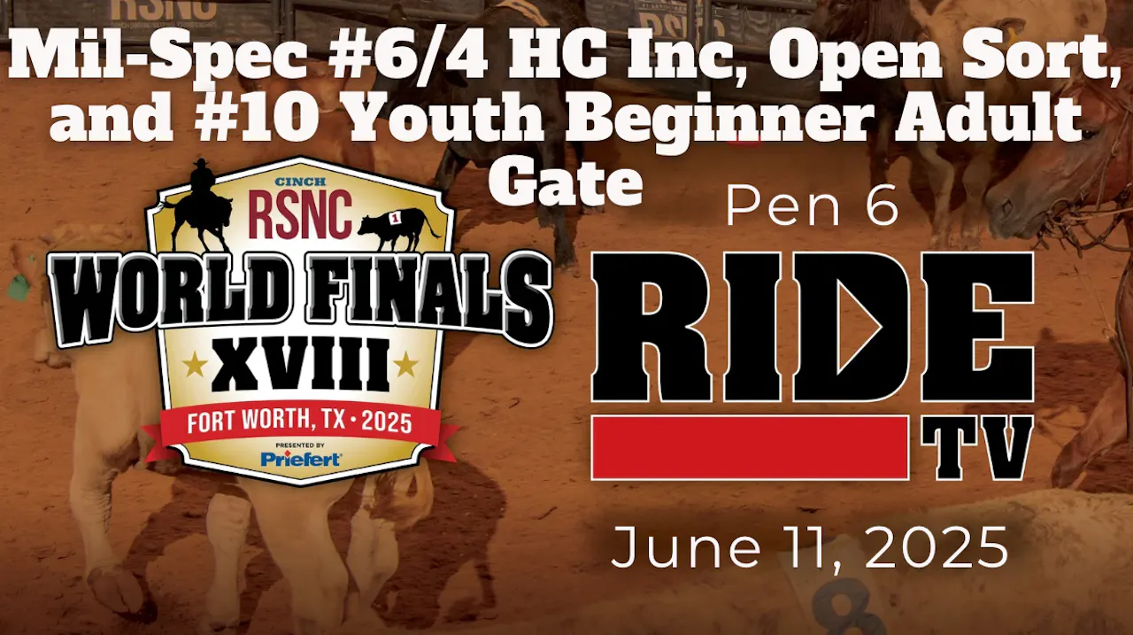 #6/4 HC Inc, Open Sort, & #10 YBAG | Cinch RSNC World Finals | Pen 6 ...