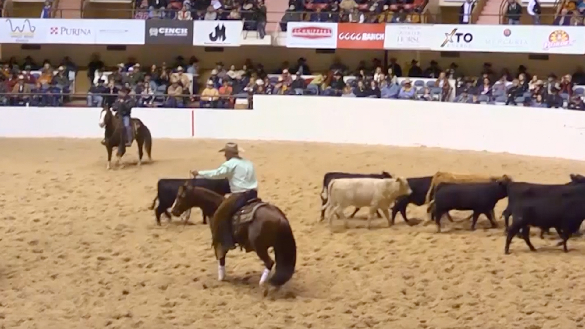 2017 NCHA Futurity Finals