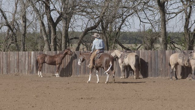 Matching the Speed of the Steer