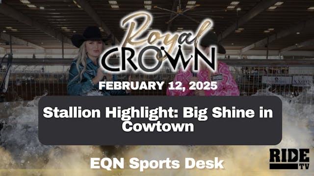 Stallion Highlight: Big Shine in Cowt...