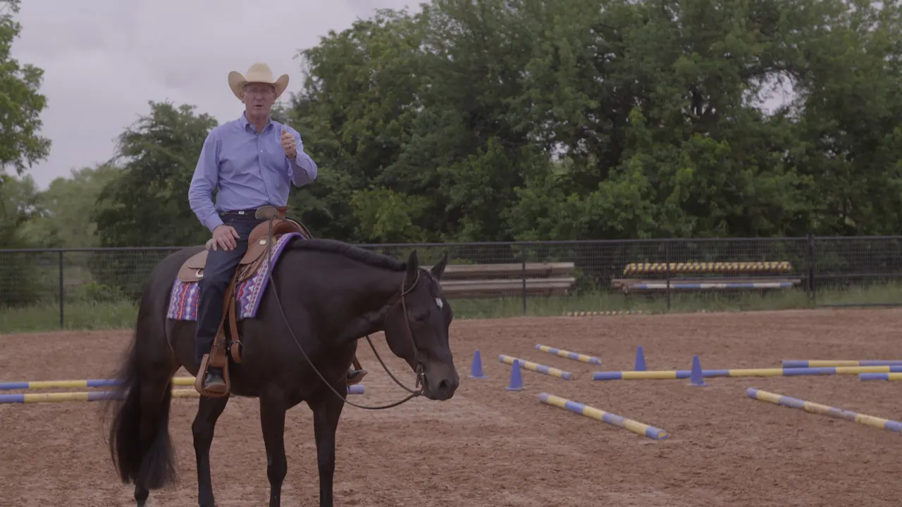 Schooling a Trail Obstacle - RIDE TV