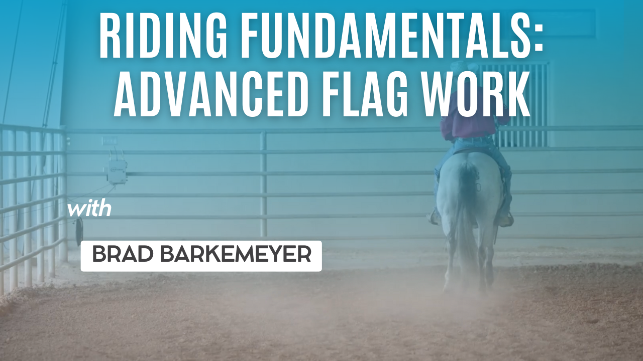 Riding Fundamentals: Advanced Flag Work