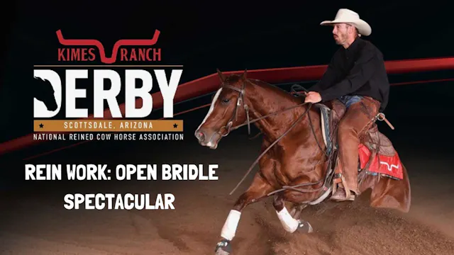 Rein Work: Open Bridle Spectacular | ...