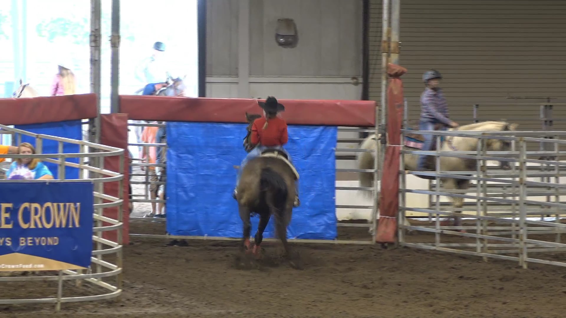 2019 NBHA GA Op1 #351-355