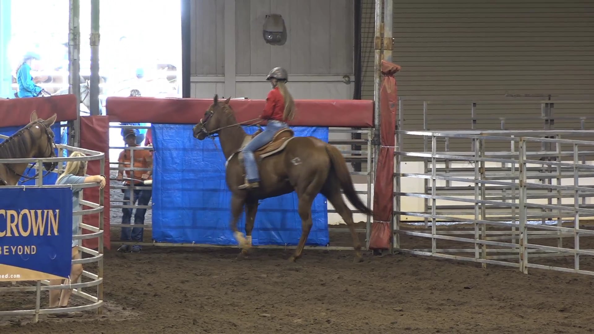 2019 NBHA GA Y1 #156-160