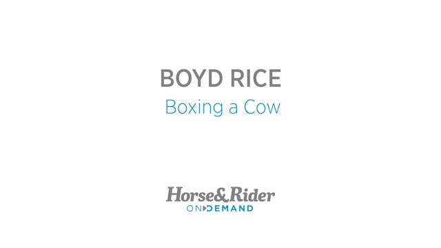 Boxing a Cow