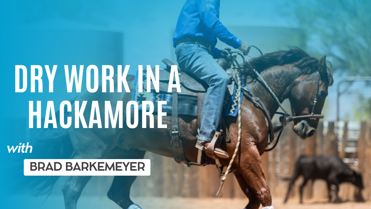 Dry Work in a Hackamore