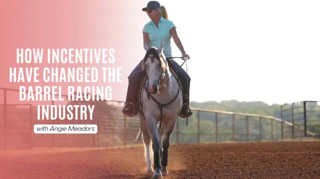 Angie Meadors: How Incentives Have Ch...