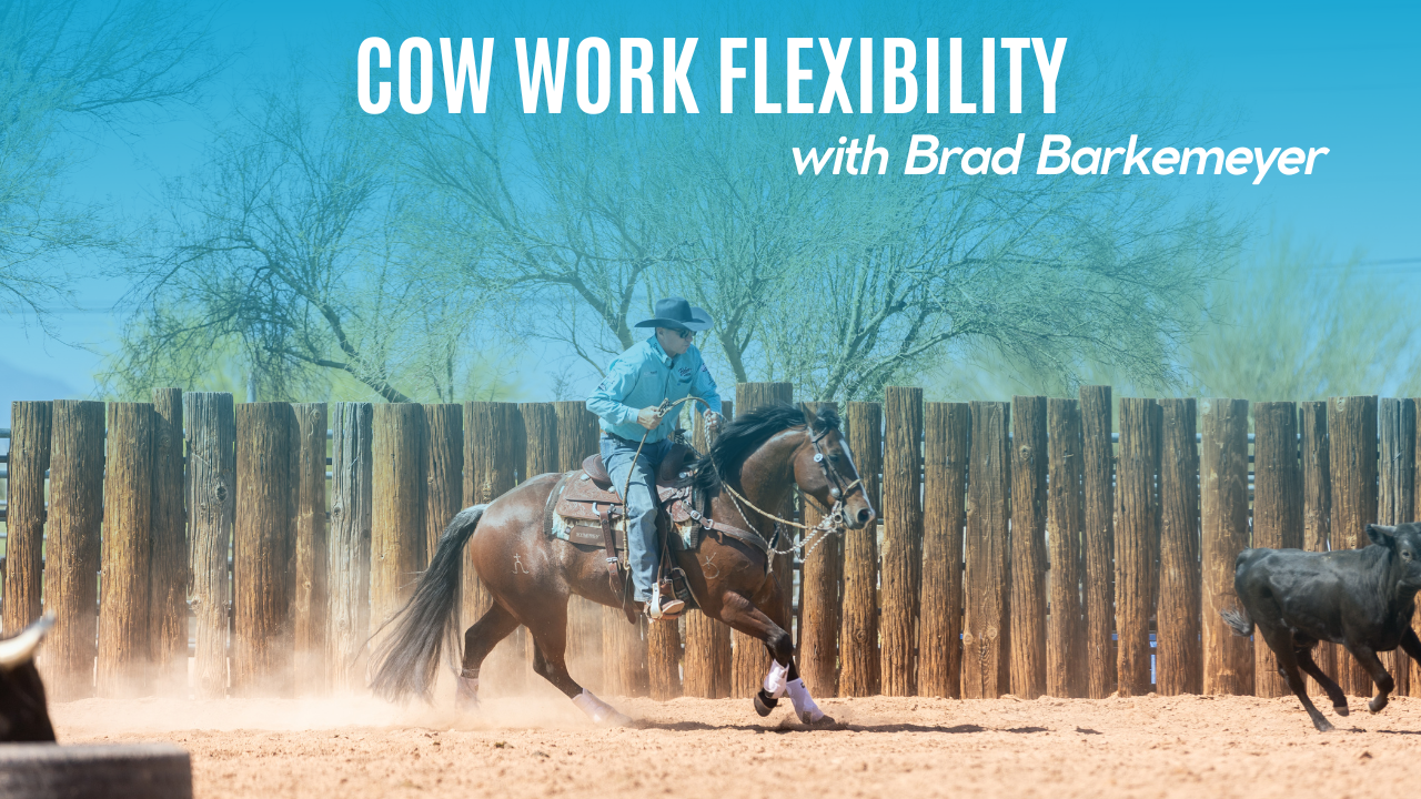 Cow Work Flexibility with Brad Barkemeyer