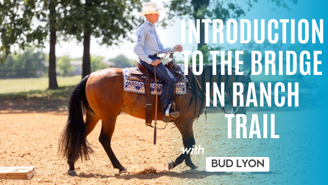 Introduction to the Bridge in Ranch Trail