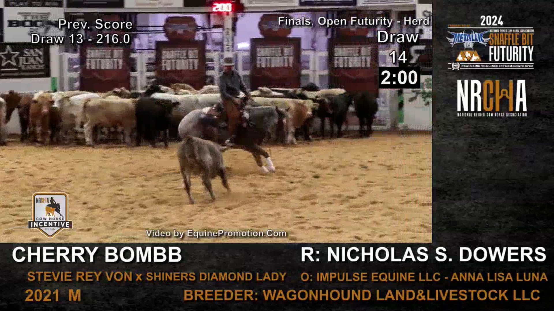 Herd Work Open Finals | NRCHA Snaffle Bit Futurity | 10/16/24